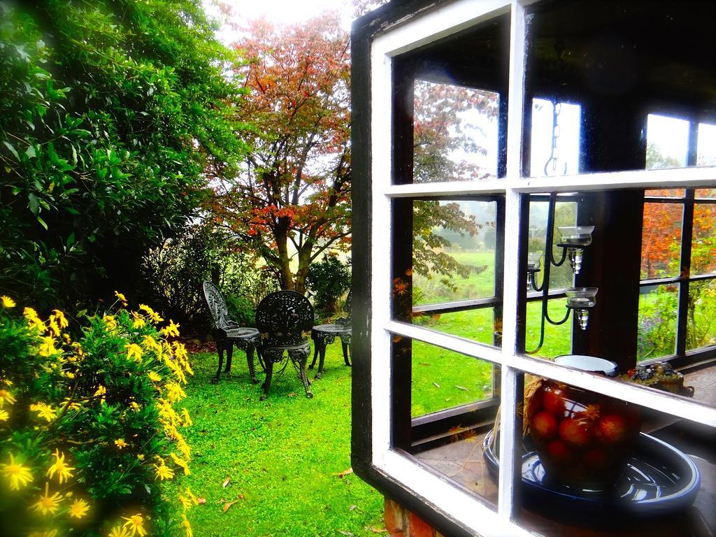 Arden Country House Waitati Exterior photo
