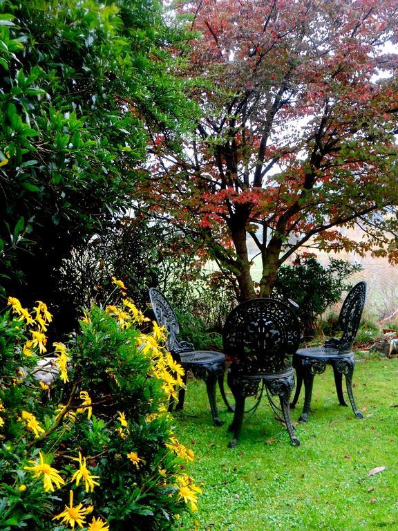 Arden Country House Waitati Exterior photo