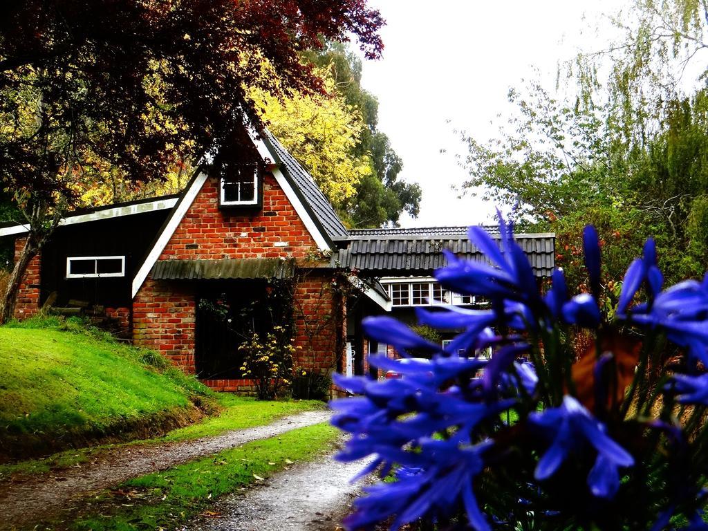 Arden Country House Waitati Exterior photo